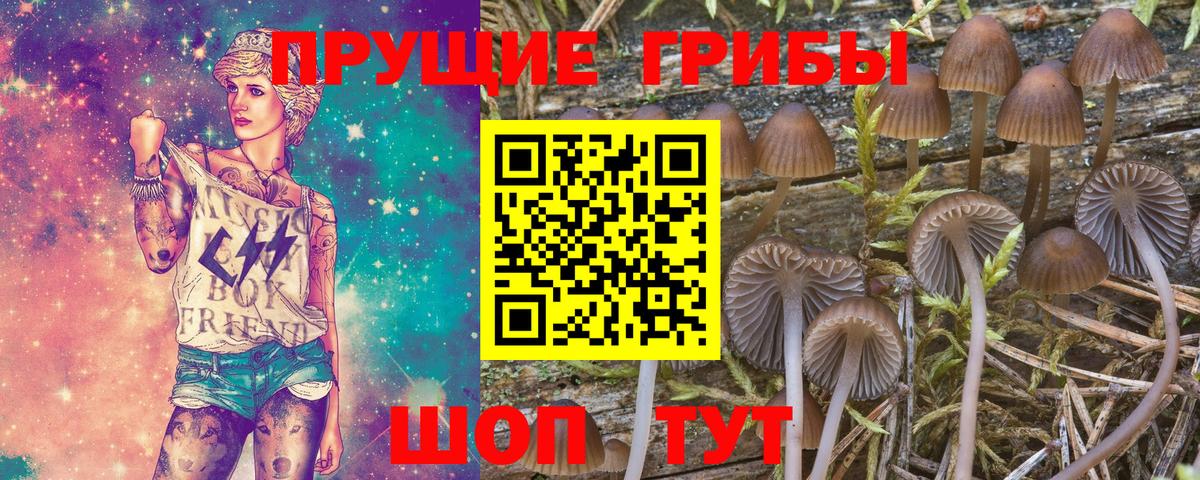 Губкин  Псилоцибиновые грибы мицелий  Вход с VPN  Галлюциногенные грибы прущие грибы 